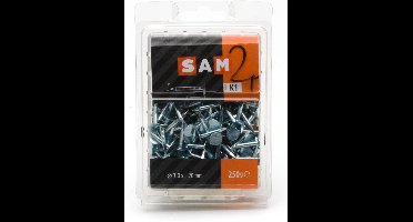 SAM Schalienagel 3x20mm voordeelverpakking 250gr. 818062 K1