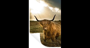 Muurstickers - Sticker Folie - Schotse hooglander - Zon - Gras - 20x30 cm - Plakfolie - Muurstickers Kinderkamer - Zelfklevend Behang - Zelfklevend behangpapier - Stickerfolie