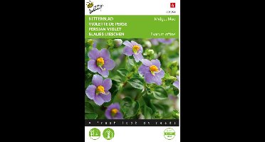 Bitterblad Midget Blue (Exacum affine)