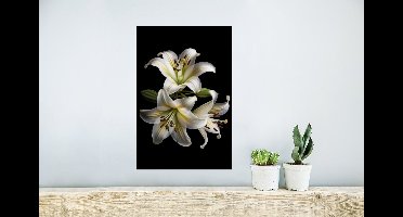 Poster Lelie - Bloemen - Wit - Natuur - Botanisch - 20x30 cm