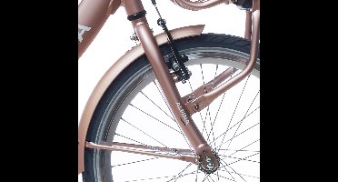 Alpina Voorvork 20 Clubb rose gold matt