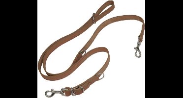 Hondenriem Gloria Oasis Meerdere 2.1 x 200 cm Bruin