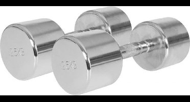 Gorilla Sports Dumbellset 25 kg - 2x12,5 kg - Halterset - Vaste dumbbells - Chroom