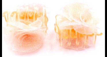 2 roosjes klein met haarklem lichtoranje