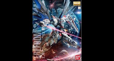 MG ZGMF-X10A Freedom Gundam Ver.2.0