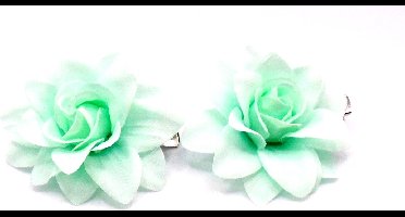 2 roosjes klein met duckklem mintgroen met punt