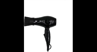 Föhn Sinelco Dreox Mini Zwart