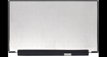 CoreParts MSC156F40-222M laptop reserve-onderdeel Beeldscherm