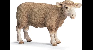 Ram Schleich