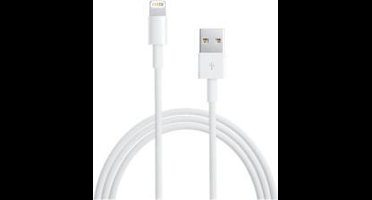 Lightning Kabel - 1 meter - Wit - AP08