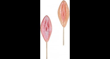 CSG B.V. Zoete lolly vagina - Aardbeiensmaak voor vrijgezellenfeest