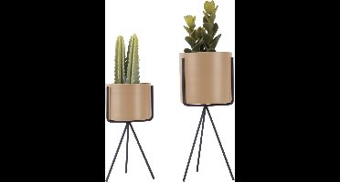 PresentTime Pedestal Bloempotten (set Van 2) - Grijs