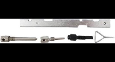 WEBER Timingset Ford Zetec en Zetec SE en Mazda / Volvo