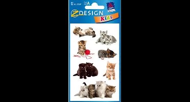 Avery Avery AV-55971 Papieretiket Z-design Pakje A 3 Vel Katten Foto