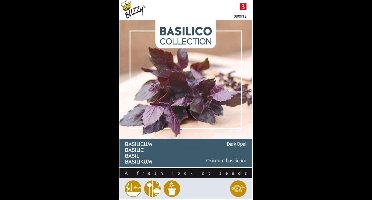Buzzy® Basilicum Dark Opal