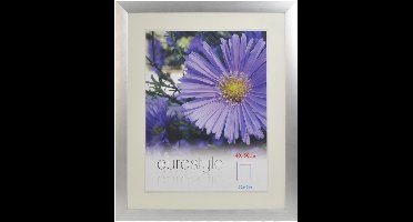 Desq 4904 | Fotolijst Aluminium | Sterk Helder Plexiglas | 40 x 50