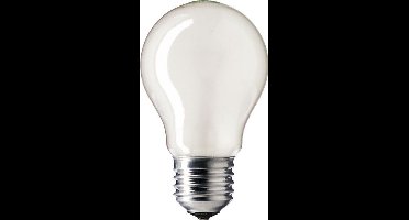 25W Philips standaard gloeilamp mat E27