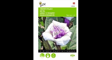 Buzzy Zaden - Doornappel (Datura metel)