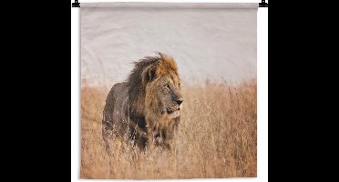 Wandkleed Leeuw - nieuw - Leeuw in hoog gras Wandkleed katoen 90x67 cm - Wandtapijt met foto