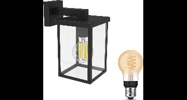 Philips Hue Bellini Wandlamp voor Buiten Neerwaarts (Zwart) - Buitenlamp - E27 - Warmwit Licht - Hue White Filament