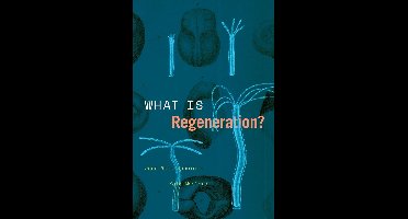What Is Regeneration?