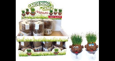 Jeroen Groen Grashoofd Verschillende Uitvoeringen