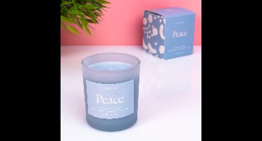 Wellness Geurkaars - Peace (blauw) van Paddywax