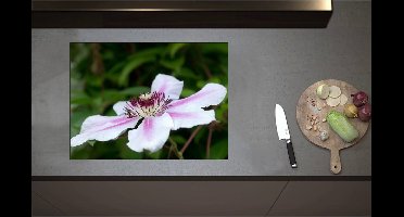 Inductieplaat Beschermer - Clematis Flordie Bloemen in het Wit met Paarse Details - 70x52 cm - 2 mm Dik - Inductie Beschermer - Bescherming Inductiekookplaat - Kookplaat Beschermer van Wit Vinyl