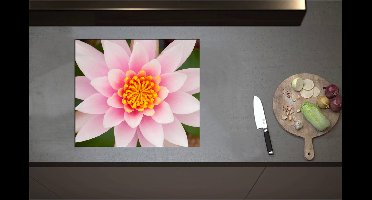 Inductieplaat Beschermer - Bovenaanzicht van Roze Lotus Bloem - 60x52 cm - 2 mm Dik - Inductie Beschermer - Bescherming Inductiekookplaat - Kookplaat Beschermer van Zwart Vinyl
