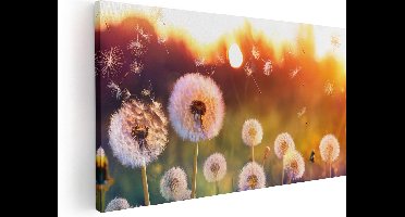 Artaza Canvas Schilderij Paardenbloemen Tijdens Zonsondergang - 40x20 - Klein - Foto Op Canvas - Canvas Print