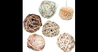 We Love Pets Konijnen speelgoed Knaagdier - Hamster Speelgoed - Knaagdierenspeelgoed - 6 Speelballen - Geeft uren speelplezier - Cavia Speelgoed