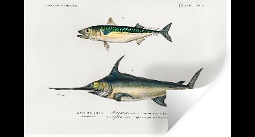 Muurstickers - Sticker Folie - Vis - Vintage - Verf - 30x20 cm - Plakfolie - Muurstickers Kinderkamer - Zelfklevend Behang - Zelfklevend behangpapier - Stickerfolie