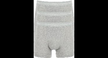 Calvin Klein Trunks Heren Onderbroeken - 3-pack - Grijs