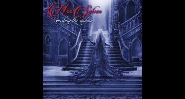 Courting The Widow