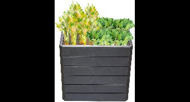 GARANTIA ERGO QUADRO M 75, hoogbed Stone, incl. FLORA waterbesparingssysteem