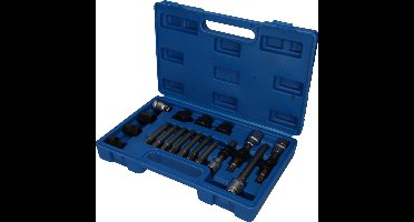 BRILLIANT TOOLS Dynamo bit- en dopsleutelset 18-delig - BT571020