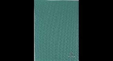 Exacompta 25x Showalbum met vaste rug - PP - 10 tassen - 20 zichten - A4 - Donkergroen - 8513E