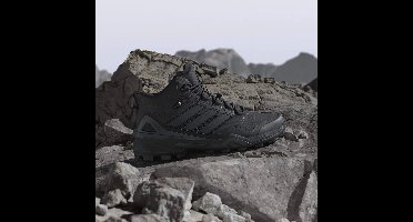 Wandelschoenen adidas Gore-Tex Skychaser Terrex