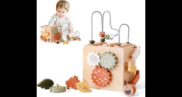 5-in-1 Houten Activiteit Kubus - Kleinkind Vorm Categorie Leren Speelgoed - 1-3 Jaar Oud Kinderen Vroeg Onderwijs Ontwikkeling Leren Speelgoed