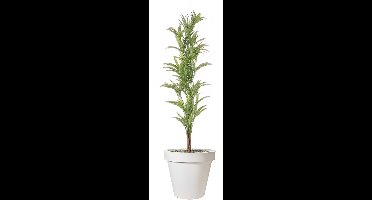 Pro Garden Bloempot - wit - rond - D40 cm - kunststof - plantenpot - tuin buiten