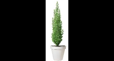 Pro Garden Bloempot - wit - rond - D50 cm - kunststof - plantenpot - tuin buiten