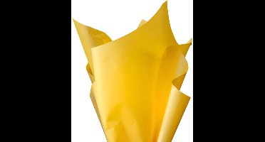 Dik Geel Vloeipapier – 28 grams,36x50 cm 240 vel