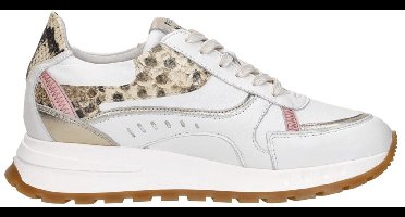 Piedi Nudi Mirren Sneakers Laag - Wit - Maat 42