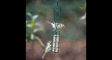 Peru Energierolschep & houder