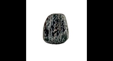 Edel-gedenk-steen Staande Obsidiaan Sneeuwvlok