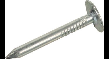 Deltafix asfaltnagels 3,0 x 20 mm - verzinkt - 90 gram