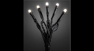 Lichtsnoer 80 Micro-LED's - 12.50 meter - buiten
