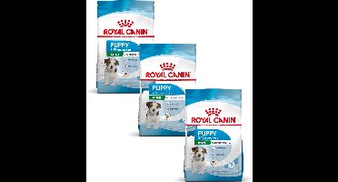Royal Canin Mini - Puppy-Hondenvoer - 3 x 2 kg