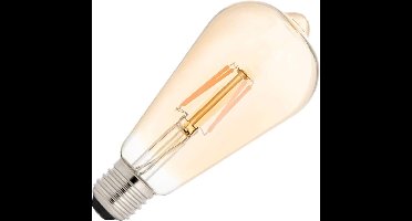 Bailey | LED Edisonlamp | Grote fitting E27 | 4W Dimbaar