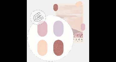 Handles and more – Leren Magneten Ovaal / Magneetjes - Mix roze – Set van 4 – 5,3cm